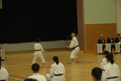 奉納演武