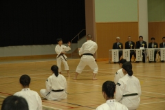 奉納演武