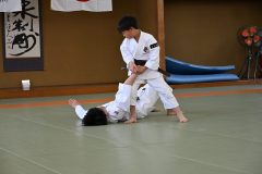 DSC_0239-scaled